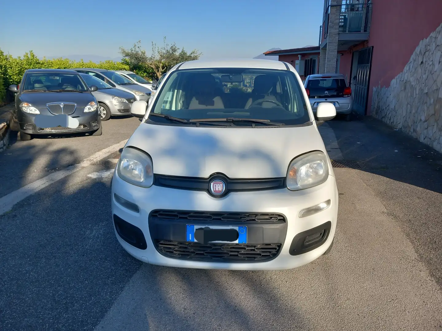 Fiat Panda Panda 1.3 mjt 16v Easy 75cv Bianco - 2