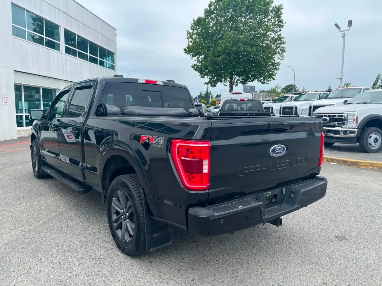 Ford F 150 fotografie Ford F 150