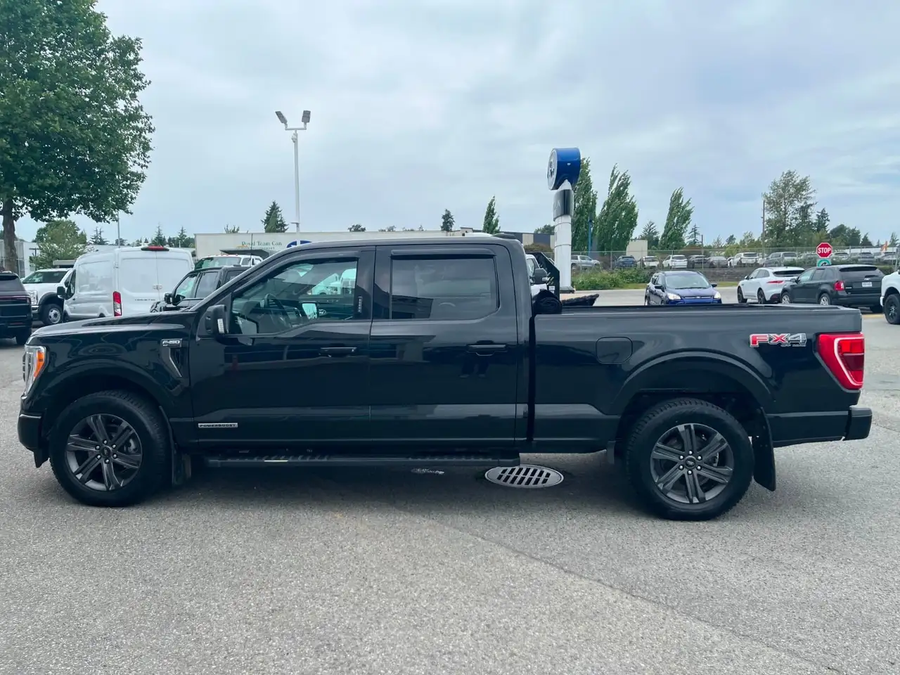 Ford F 150 fotografie Ford F 150