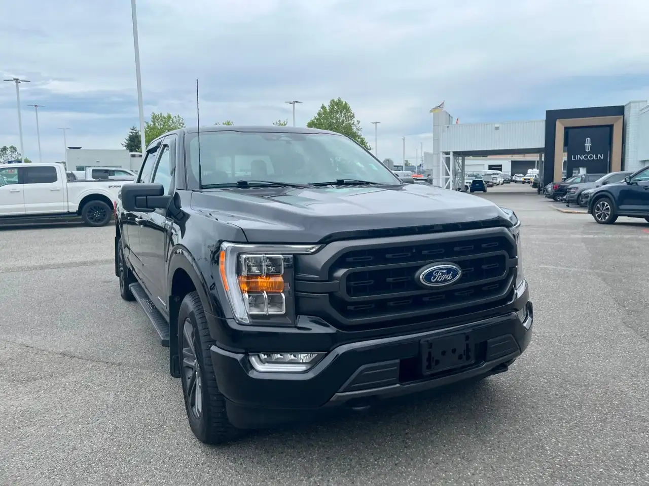 Ford F 150 fotografie Ford F 150