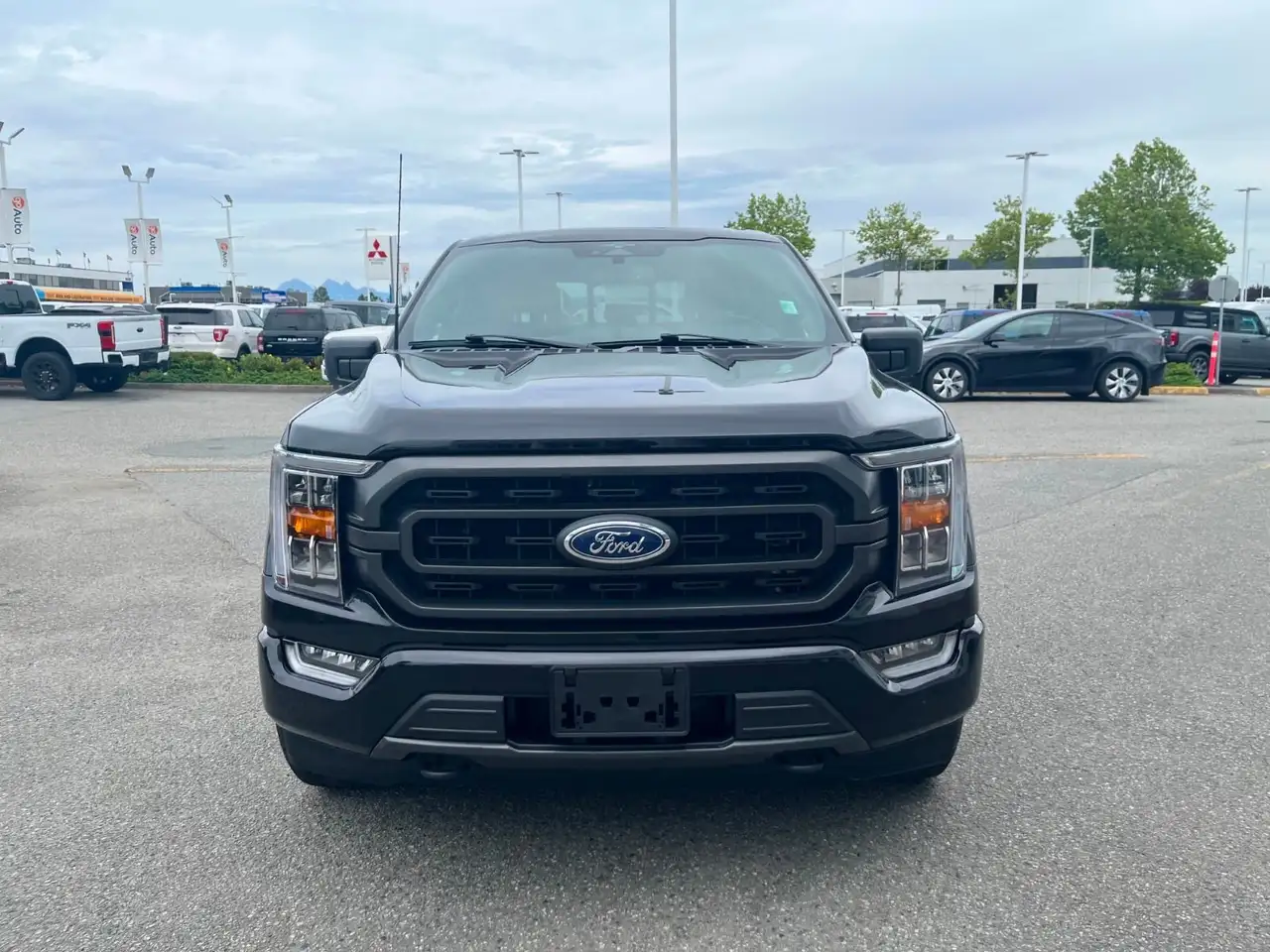 Ford F 150 fotografie Ford F 150