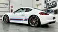 Porsche Cayman 3.8 GT4 Clubsport livrea martini originale Bianco - thumbnail 2