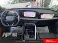 Audi Q5 Q5 2.0 tdi mhev+ Launch edition S line quattro 204 Negro - thumbnail 22
