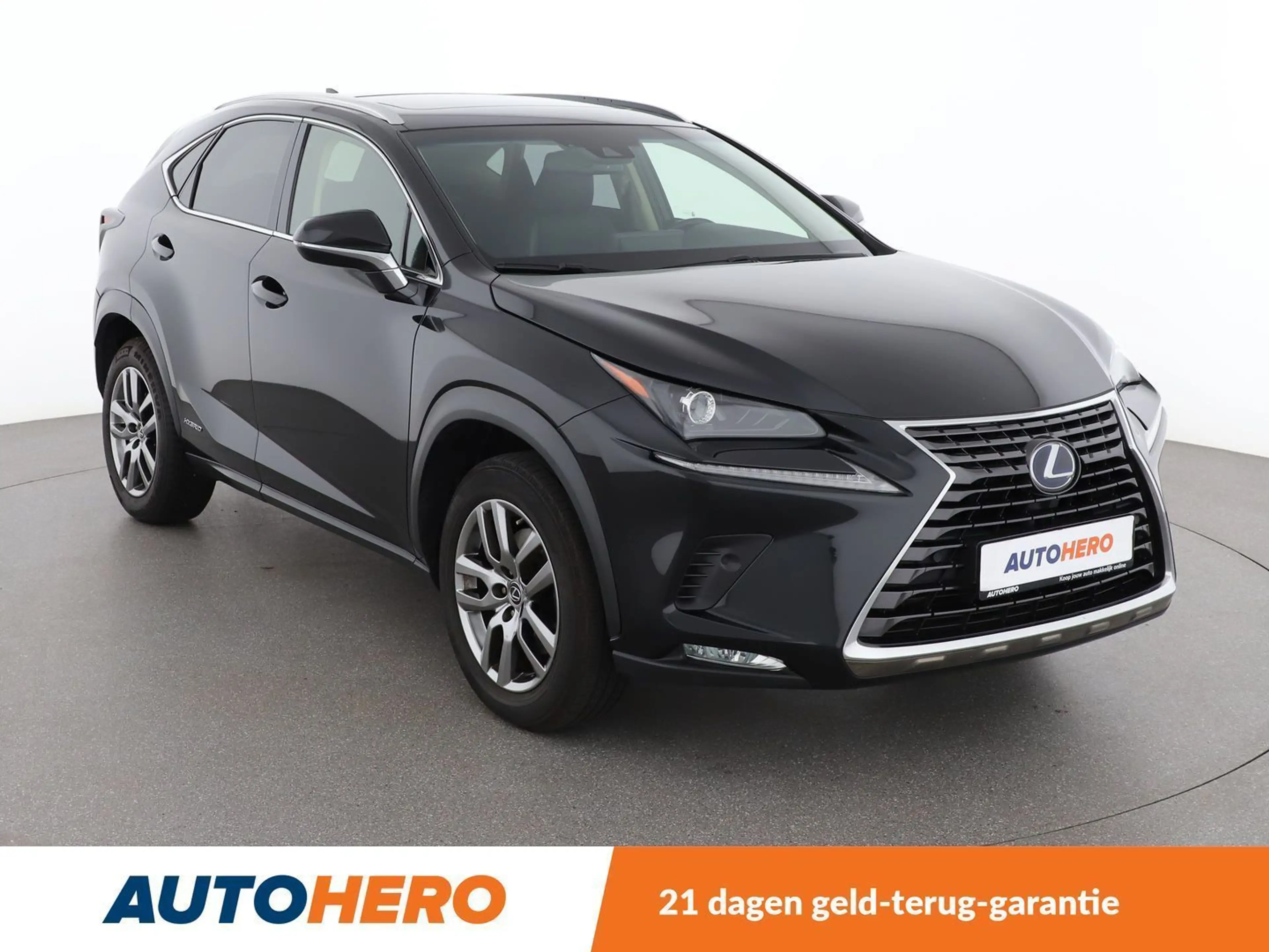 Lexus NX 300h NX 300h E-Four F Sport — photo 8