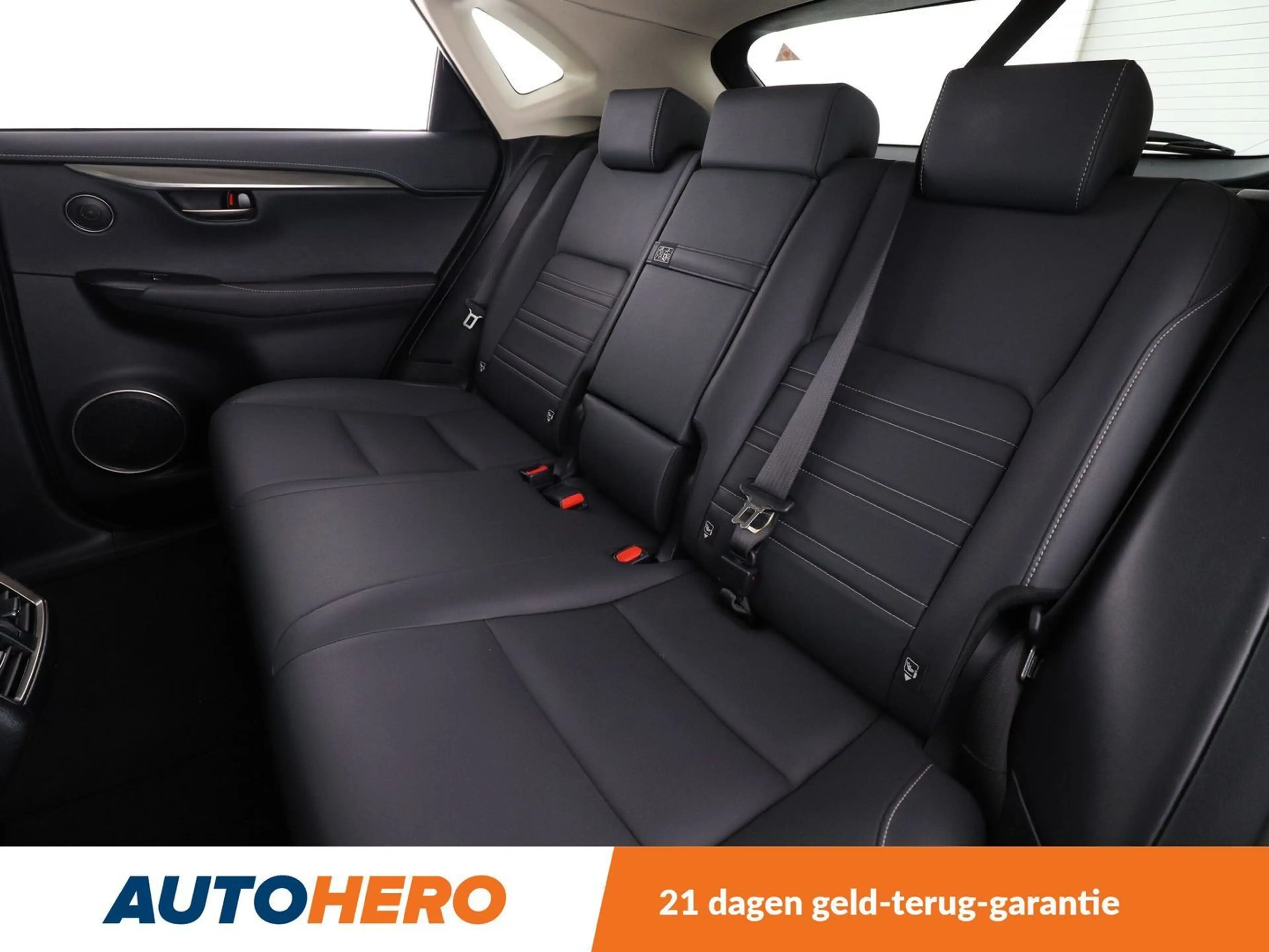 Lexus NX 300h NX 300h E-Four F Sport — photo 14
