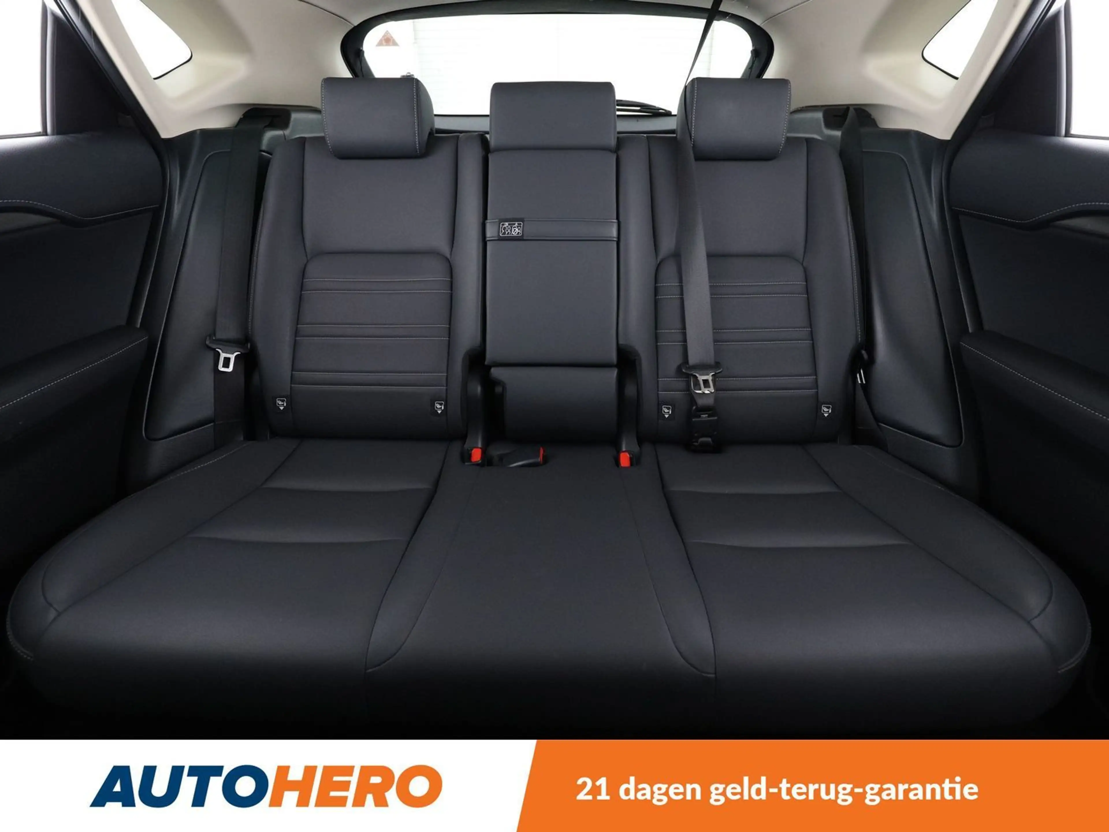 Lexus NX 300h NX 300h E-Four F Sport — photo 15