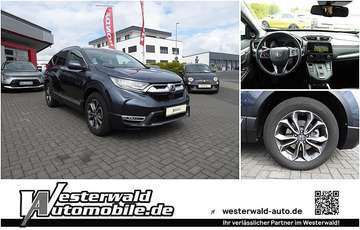 e:HEV 2.0 i-MMD Hybrid 4WD Lifestyle / Leder / Nav