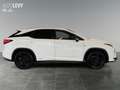 Lexus RX 450h F-Sport +Navi+Pano+HeadUp+360 Kam+ Weiß - thumbnail 7