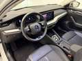 Skoda Octavia Combi 2,0 TDI Premium DSG.Matrix LED/ACC/Navi/H... Weiß - thumbnail 12