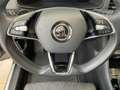 Skoda Karoq Style 1.5 TSI DSG Kamera Standheizung Grau - thumbnail 17