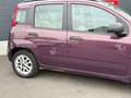 Fiat Panda Panda 1.2i_FRAIS CARROSSERIE_VENTE MARCHAND_ Mauve - thumbnail 5