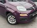 Fiat Panda Panda 1.2i_FRAIS CARROSSERIE_VENTE MARCHAND_ Mauve - thumbnail 3