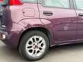 Fiat Panda Panda 1.2i_FRAIS CARROSSERIE_VENTE MARCHAND_ Mauve - thumbnail 6