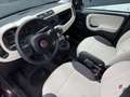 Fiat Panda Panda 1.2i_FRAIS CARROSSERIE_VENTE MARCHAND_ Mauve - thumbnail 10