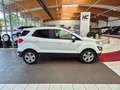 Ford EcoSport Cool & Connect Klima Tempomat DAB LED Blanc - thumbnail 3