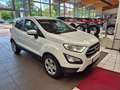 Ford EcoSport Cool & Connect Klima Tempomat DAB LED Blanc - thumbnail 2