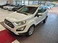 Ford EcoSport Cool & Connect Klima Tempomat DAB LED Blanc - thumbnail 6