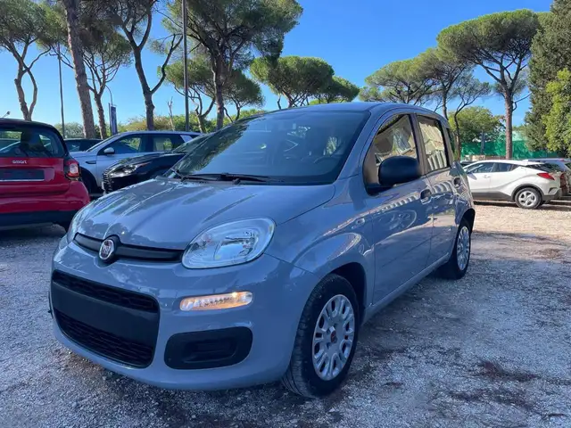 Fiat Panda view 6