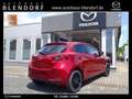 Mazda 2 Homura mHybrid Kamera|LED|Lenkradheizung Rojo - thumbnail 4
