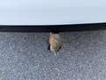 Mercedes-Benz C 180 d T Avantgarde Weiß - thumbnail 8
