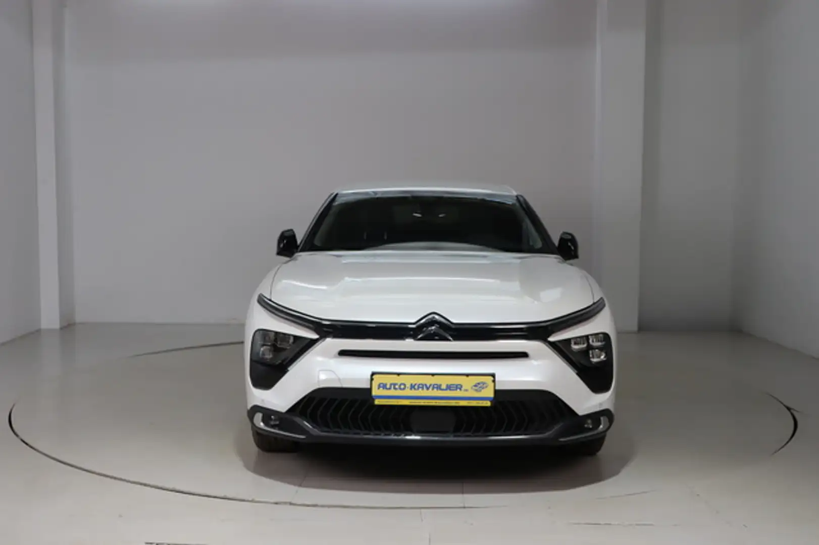 Citroen C5 X Feel * LED * Navi * Keyless Weiß - 2