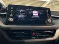 Skoda Fabia Selection PDC GRA Smart Link Kamera Negru - thumbnail 20