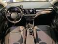 Skoda Fabia Selection PDC GRA Smart Link Kamera Negru - thumbnail 27