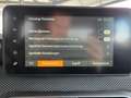 Dacia Logan EXPRESSION TCe 90 MT 5 / NAVI Carplay LED Tempo... Grau - thumbnail 13