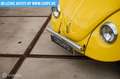 Volkswagen Kever Jeans Buggy Gelb - thumbnail 24