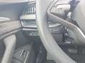 Skoda Superb Selection 2.0 TDI DSG Grau - thumbnail 7