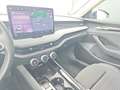Skoda Superb Selection 2.0 TDI DSG Grau - thumbnail 11