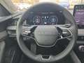 Skoda Superb Selection 2.0 TDI DSG Grau - thumbnail 10