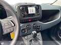 Fiat Panda 1.0 70cv Hybrid Panda Rouge - thumbnail 5