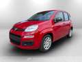 Fiat Panda 1.0 70cv Hybrid Panda Rouge - thumbnail 1