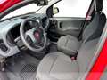 Fiat Panda 1.0 70cv Hybrid Panda Rouge - thumbnail 4
