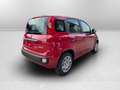 Fiat Panda 1.0 70cv Hybrid Panda Rouge - thumbnail 3