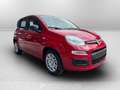 Fiat Panda 1.0 70cv Hybrid Panda Rouge - thumbnail 2