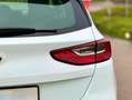 Kia Ceed / cee'd Ceed 1.0 T-GDI OPF Edition 7 Weiß - thumbnail 6