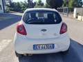 Ford Ka/Ka+ Ka II 3p 2009 Ka 1.2 + 69cv E6 Bianco - thumbnail 3