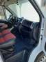 Fiat Ducato GR-Panorama 33 L2H2 130 Multijet - thumbnail 7