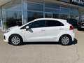 Kia Rio 1,2 MPI Titan Weiß - thumbnail 11