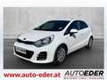Kia Rio 1,2 MPI Titan Weiß - thumbnail 3