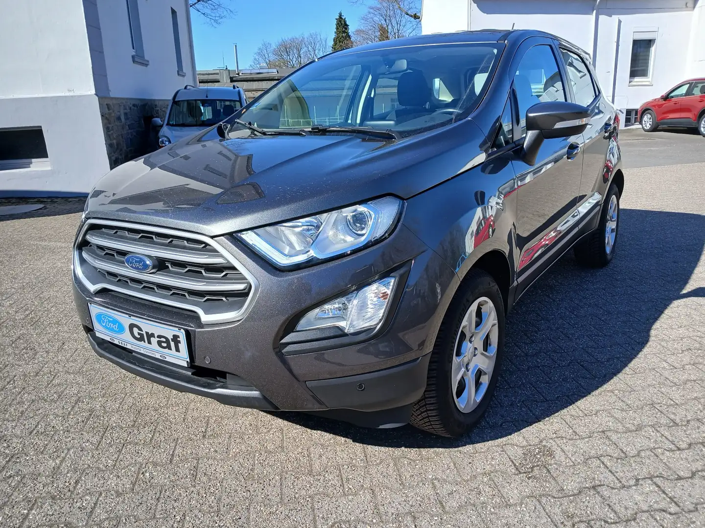 Ford EcoSport Trend Grau - 2