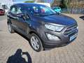 Ford EcoSport Trend Grau - thumbnail 1