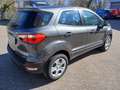 Ford EcoSport Trend Grau - thumbnail 4