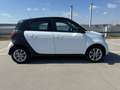 smart forFour SMART FORFOUR PASSION*AUTO*SHZ Blanc - thumbnail 7