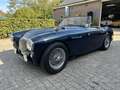 Austin-Healey 100 M Bleu - thumbnail 3