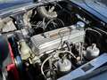 Austin-Healey 100 M Bleu - thumbnail 16