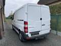 Mercedes-Benz Sprinter 316 CDI (BlueTec) Sprinter 906.731 L1H1 Blanc - thumbnail 5