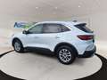 Ford Kuga Titanium Hybrid FHEV AWD Weiß - thumbnail 6